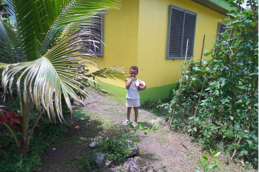 What Souvenirs Do Fijians Appreciate? A Small Guide Before Visiting Fiji