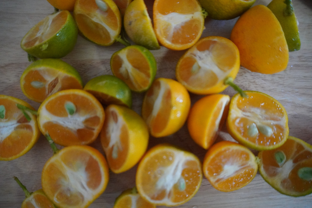 A Cool Season in Fiji, My Favourite Fiji Orange, and the Release of Issue Five