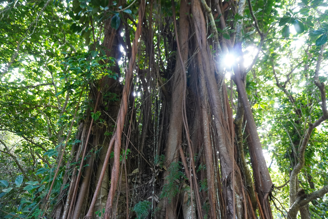 A Dry Season Drive, and Our Family Weekend at Kula Wild Adventure Park