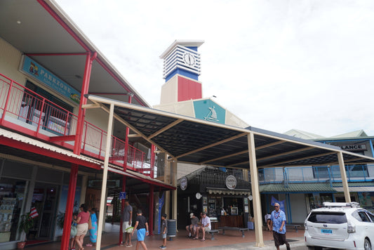 7 Best Things to Do in Denarau Island, Fiji